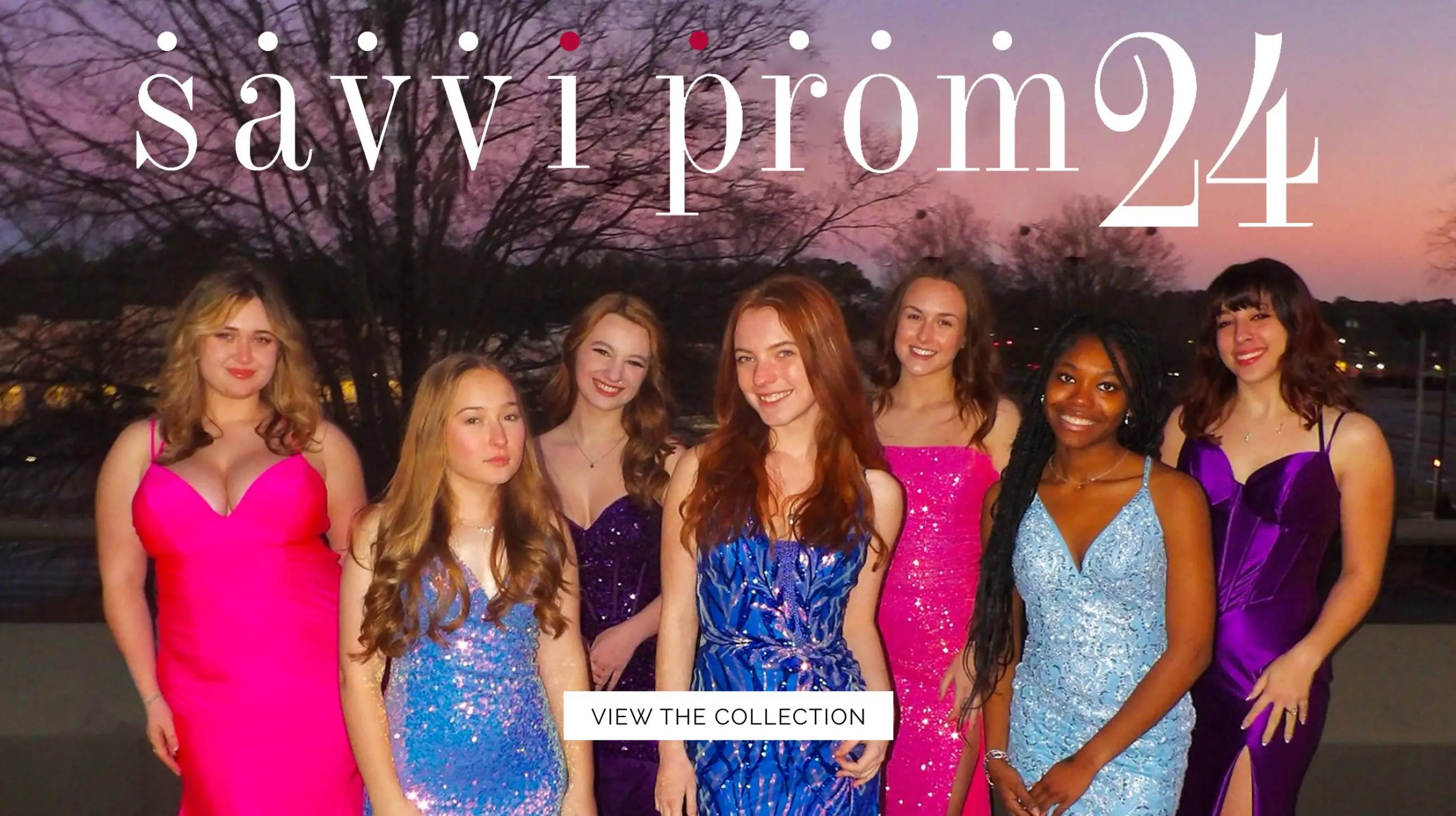 Savvi Prom Desktop Banner